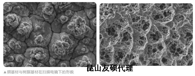 屯昌蔡司屯昌扫描电镜