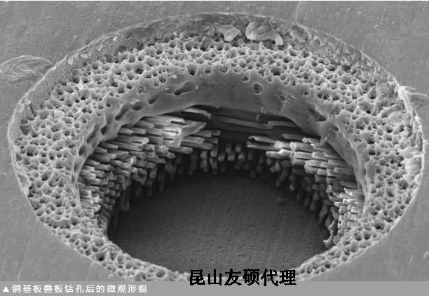 屯昌蔡司屯昌扫描电镜